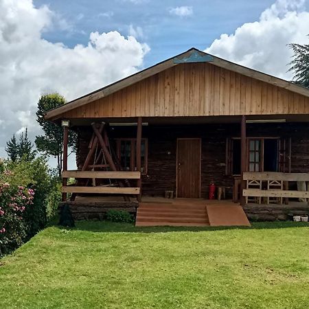 Ferienwohnung The Wonky House Timau Exterior foto