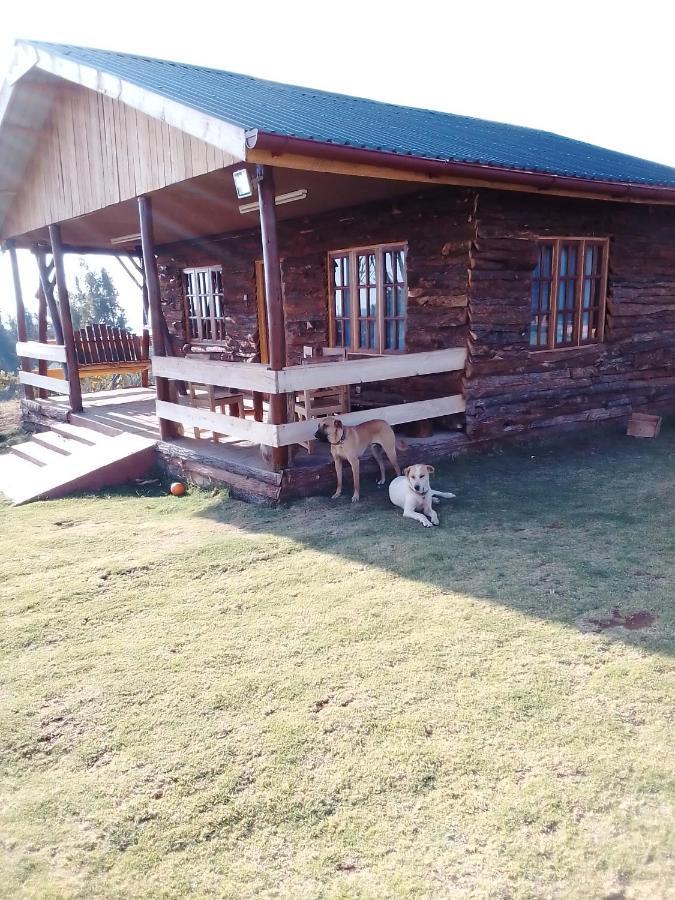 Ferienwohnung The Wonky House Timau Exterior foto